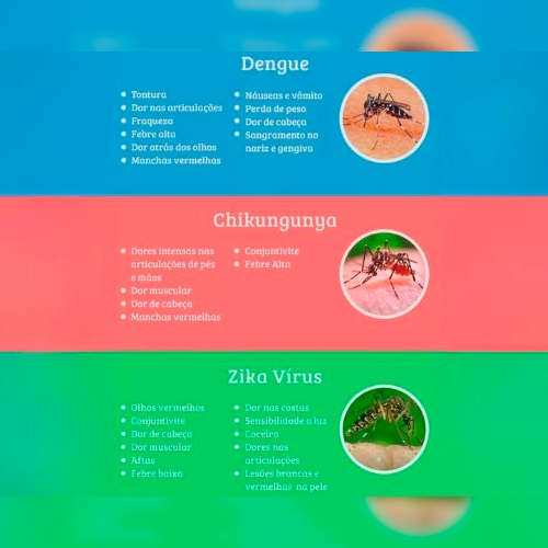 Sintomas dengue, Chikungunya e Zika Vírus